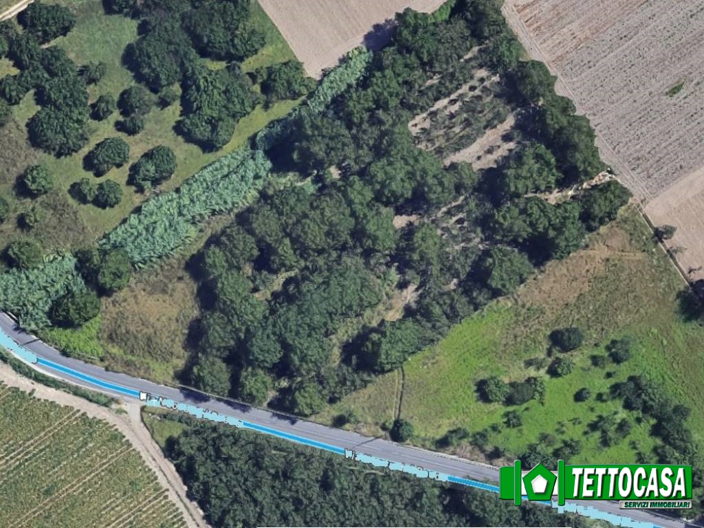 terreno agricolo in vendita a Marigliano